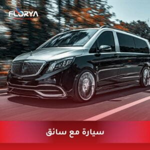 Read more about the article سيارة مع سائق في اسطنبول