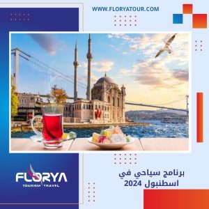 Read more about the article برنامج سياحي في اسطنبول