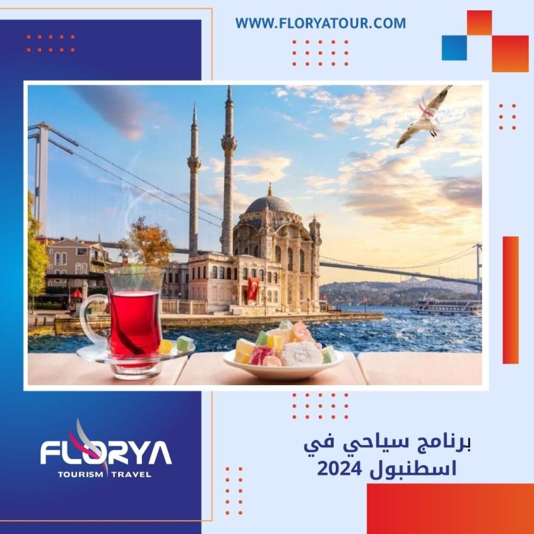 Read more about the article برنامج سياحي في اسطنبول