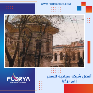 Read more about the article أفضل شركة سياحية للسفر إلى تركيا
