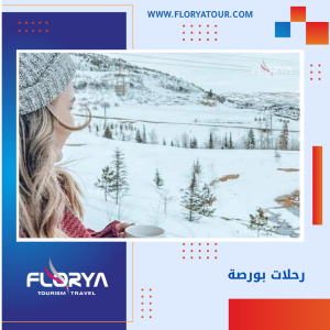 Read more about the article رحلات بورصة