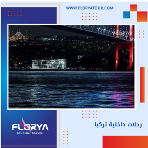 Read more about the article رحلات داخلية تركيا