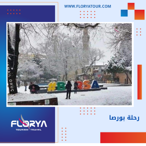 Read more about the article رحلة بورصا