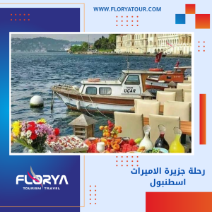 Read more about the article رحلة جزيرة الاميرات اسطنبول
