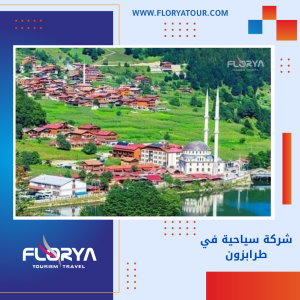 Read more about the article شركة سياحية في طرابزون