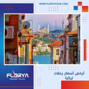 Read more about the article أرخص أسعار رحلات تركيا