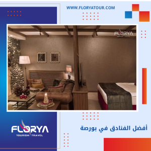 Read more about the article أفضل الفنادق في بورصة