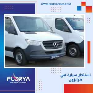 Read more about the article استئجار سيارة في طرابزون