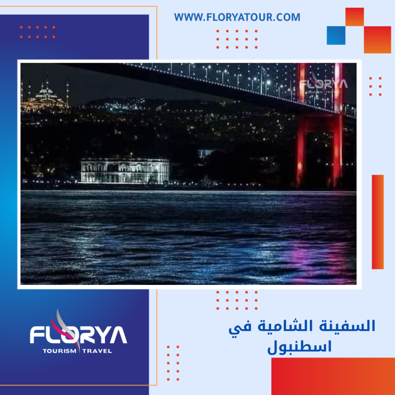 Read more about the article السفينة الشامية في اسطنبول