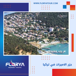 Read more about the article جزر الاميرات في تركيا