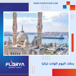 Read more about the article رحلات اليوم الواحد تركيا