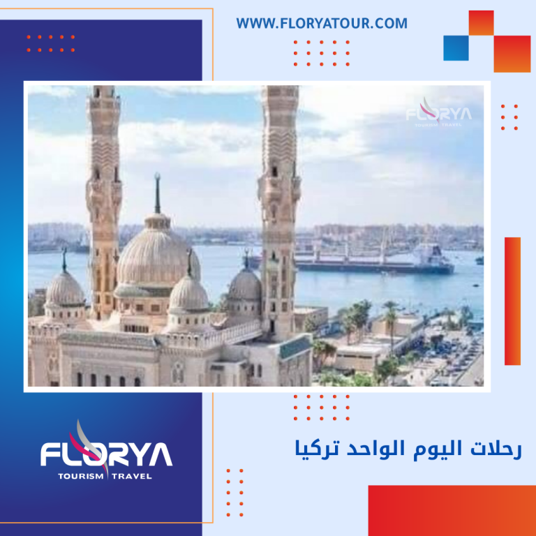 Read more about the article رحلات اليوم الواحد تركيا