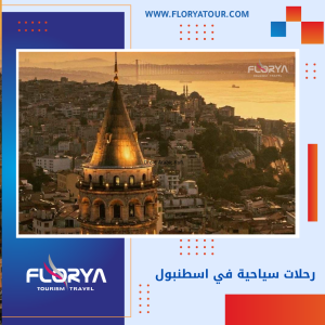 Read more about the article رحلات سياحية في اسطنبول