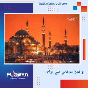 Read more about the article برنامج سياحي في تركيا