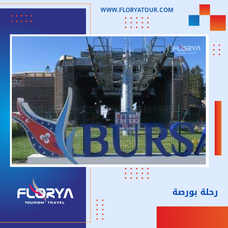 Read more about the article رحلة بورصة