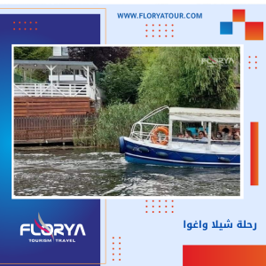 Read more about the article رحلة شيلا واغوا