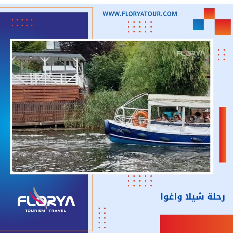 Read more about the article رحلة شيلا واغوا