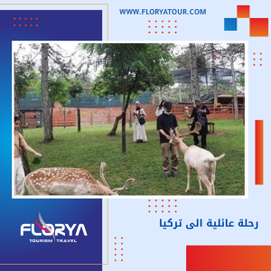 Read more about the article رحلة عائلية الى تركيا