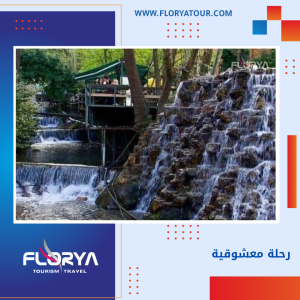 Read more about the article رحلة معشوقية