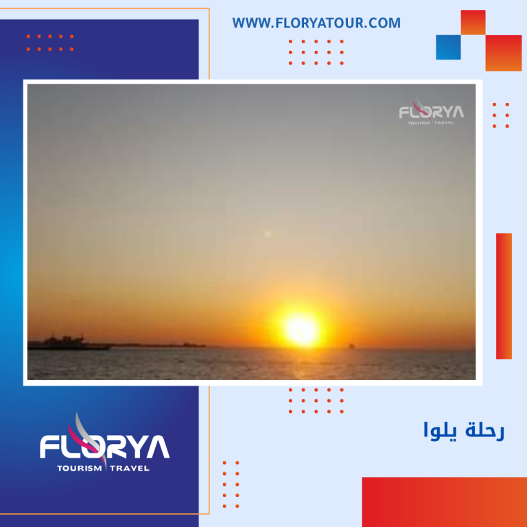 Read more about the article رحلة يلوا