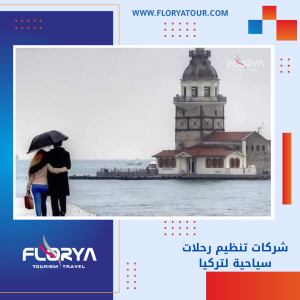 Read more about the article شركات تنظيم رحلات سياحية لتركيا