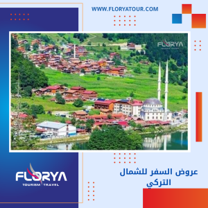 Read more about the article عروض السفر للشمال التركي