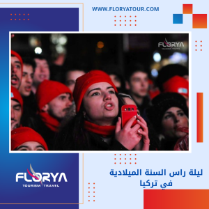 Read more about the article ليلة راس السنة الميلادية في تركيا