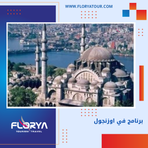 Read more about the article برنامج في اوزنجول