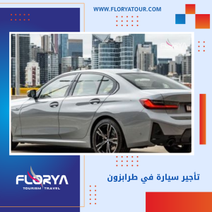 Read more about the article تأجير سيارة في طرابزون