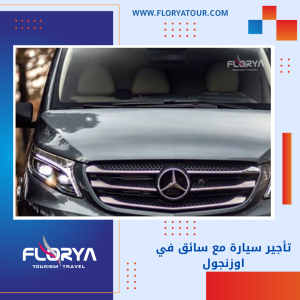 Read more about the article تأجير سيارة مع سائق في اوزنجول