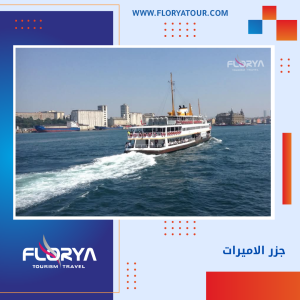 Read more about the article جزر الاميرات