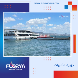 Read more about the article جزيرة الأميرات