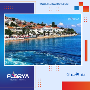 Read more about the article جزر الأميرات