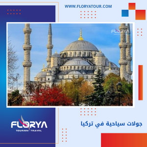 Read more about the article جولات سياحية في تركيا