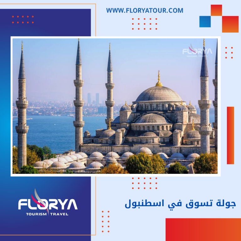 Read more about the article جولة تسوق في اسطنبول