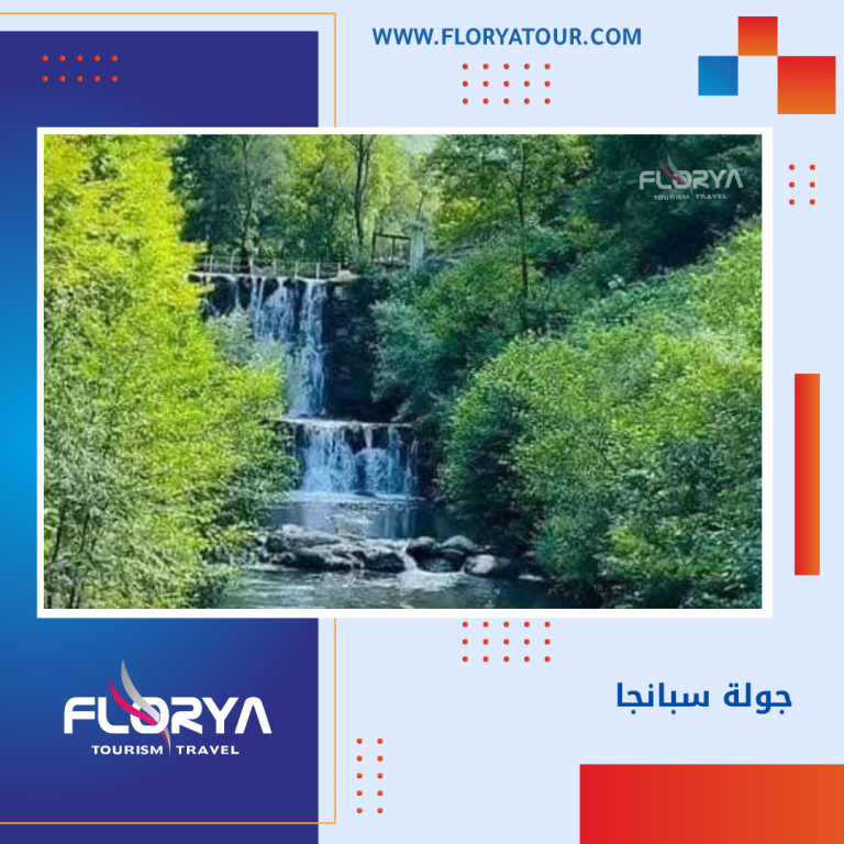 Read more about the article جولة سبانجا