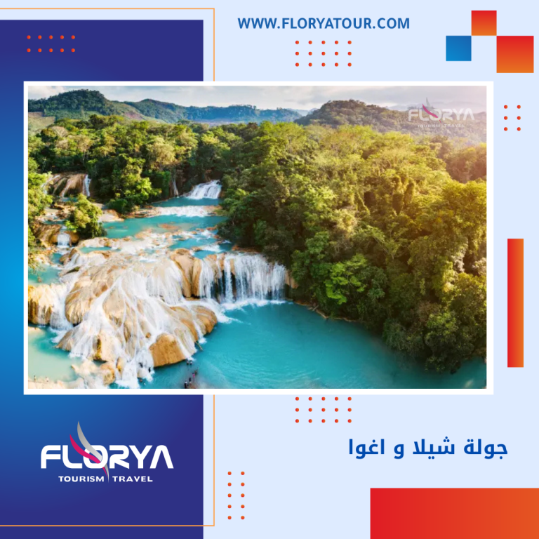 Read more about the article جولة شيلا و اغوا