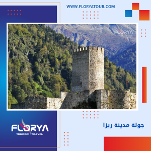 Read more about the article جولة مدينة ريزا